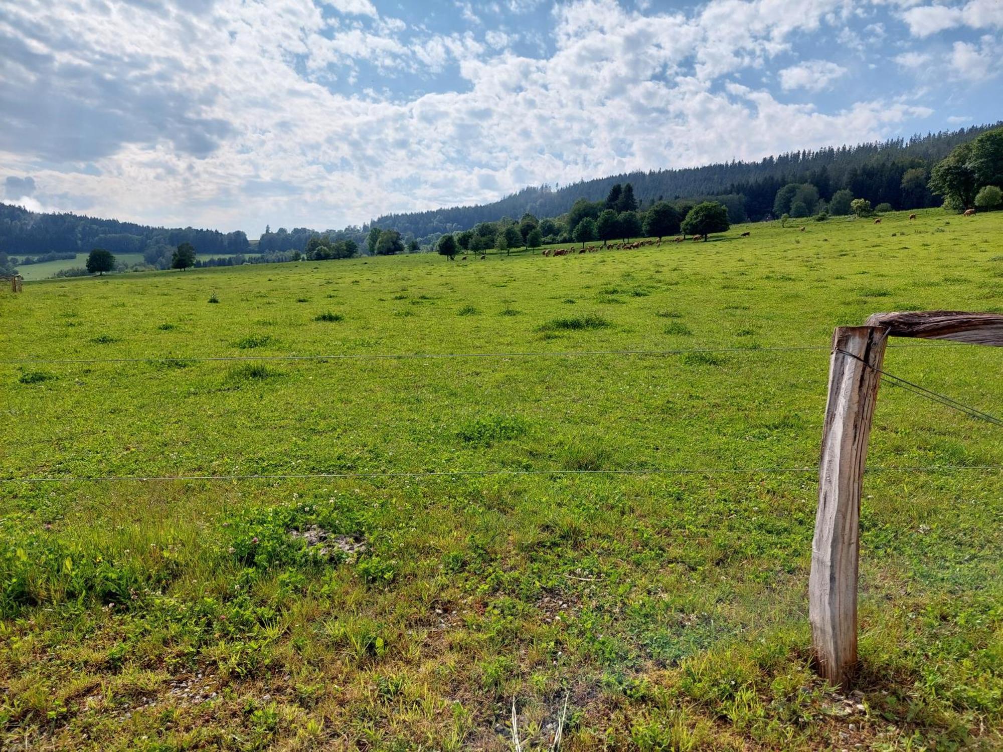 Penzion Slupecna Lipno nad Vltavou Eksteriør billede